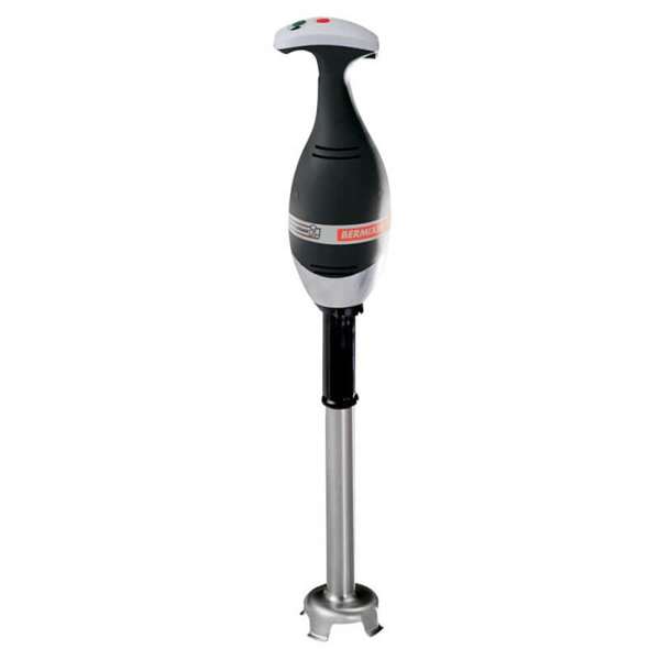 Image de MIXER PORTATIF-TUBE INOX 450W