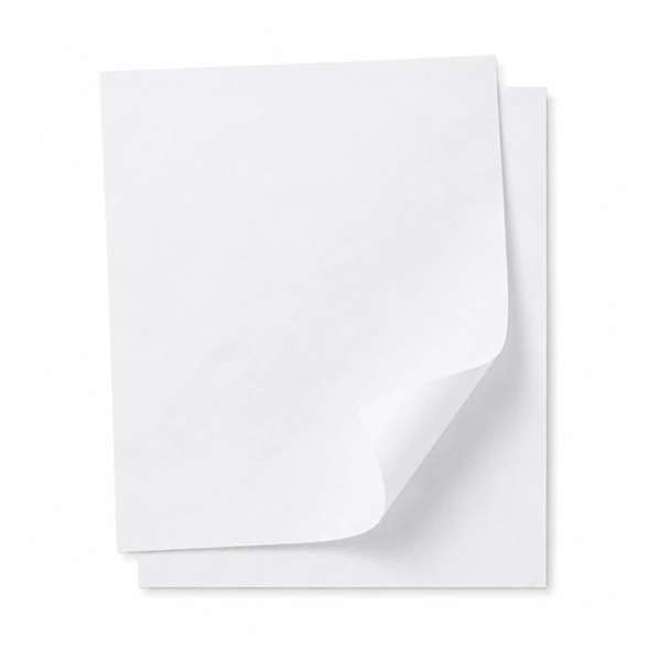 Image de PAPIER CUISSON GASTRO SILICONE 2 FACES 32.5 X 53 CM