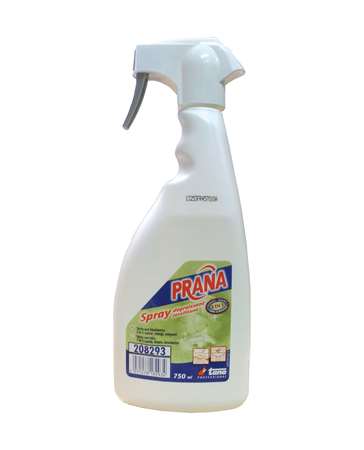 Image de PRANA SPRAY DEGRAISSANT JAVELLISANT