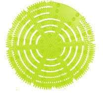 Image de EURISPLASH GRILLE WC POMME MELON CONCOMBRE