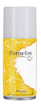 Image de AEROSOLS MINIPROG AIR CLUB POMELOS 150 ML