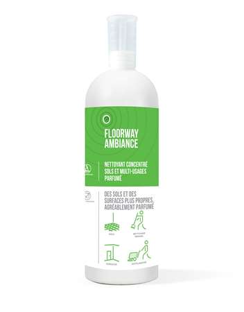 Image de FLOORWAY AMBIANCE 1L