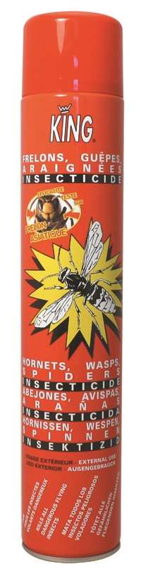 Image de INSECTICIDE KING ANTI-FRELONS SURPUISSANT 750ML