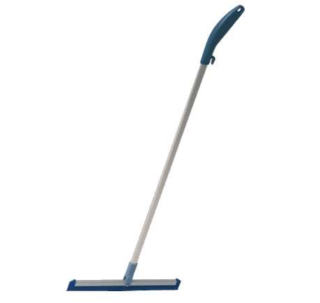 Image de RACLETTE DUSTPAN