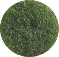Image de DISQUE ABRASIF VERT 406 MM - Ct de 5