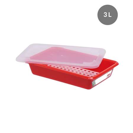 Image de BAC PLAT HACCP ROUGE + COUVERCLE + GRILLE 3L