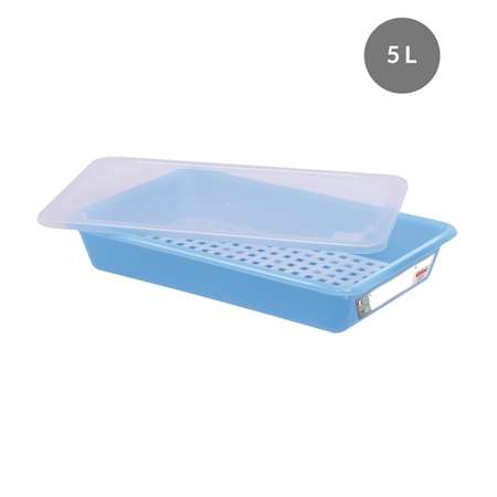 Image de BAC PLAT HACCP BLEU + COUVERCLE + GRILLE 5L