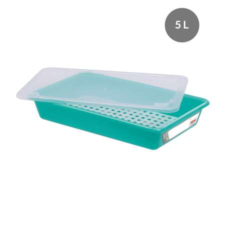 Image de BAC PLAT HACCP VERT + COUVERCLE + GRILLE 5L