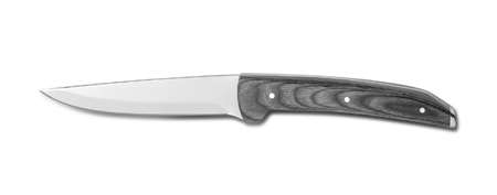 Image de COUTEAU A STEACK TORINO