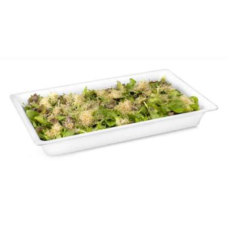 Image de PLAT MELAMINE SLIM GN 1/1 65MM