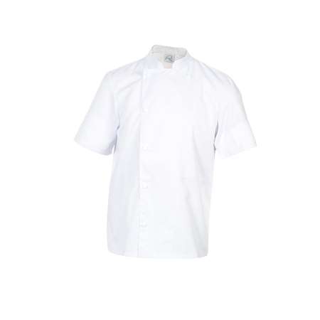 VESTE MADRAS MC BLANC T2