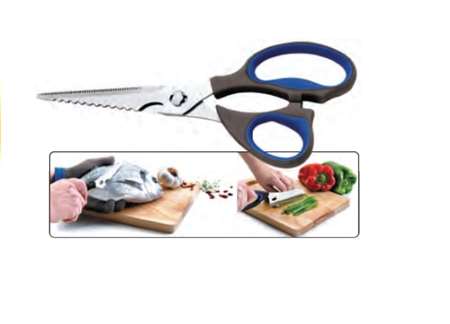 Image de CISEAUX ECAILLEUR DEMONTABLES INOX 23CM