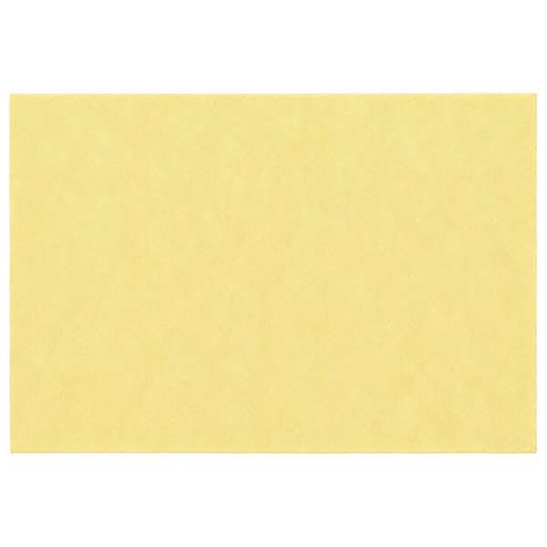 Image de SET FIESTA 100% PLP 30x40cm CHAMPAGNE