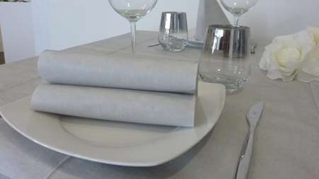 Image de SERVIETTE SPUNLACE CADI SPUN 40x40 GRIS PERLA