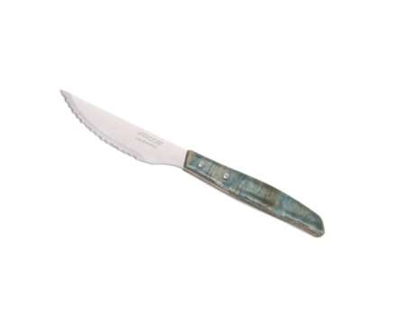 Image de COUTEAU A STEAK PIZZA CRANTE TOLEDO EFFET VERT BLEUTE
