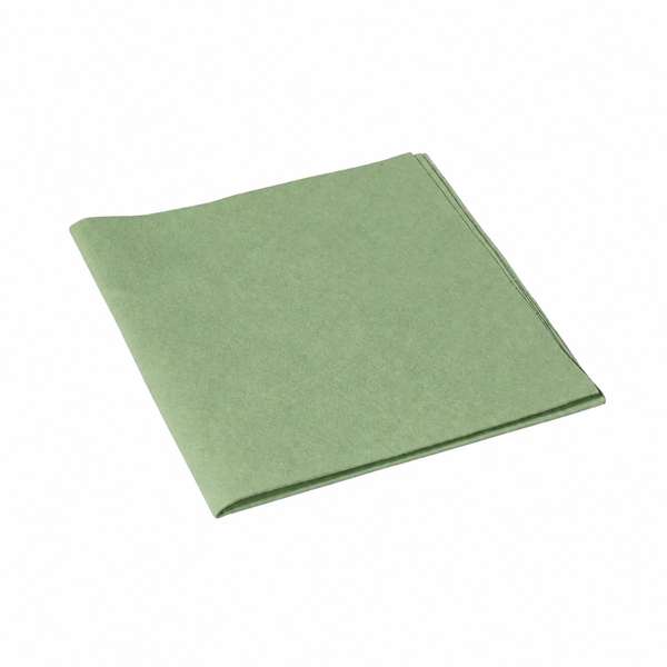 Image de LAVETTE EVOLON VERT 40X42 - SACHET DE 5