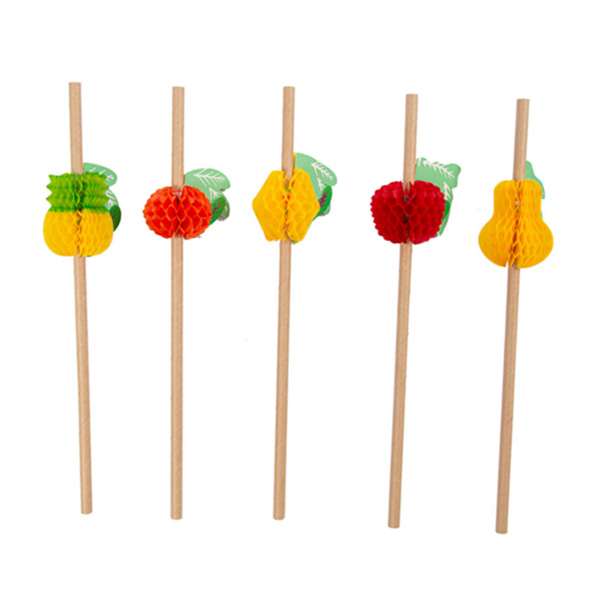 Image de PAILLES 'FRUITS' Ø0,60x23 CM NATUREL KRAFT