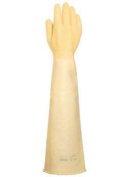 Image de GANT MAPA TRIDENT 285 - T 10