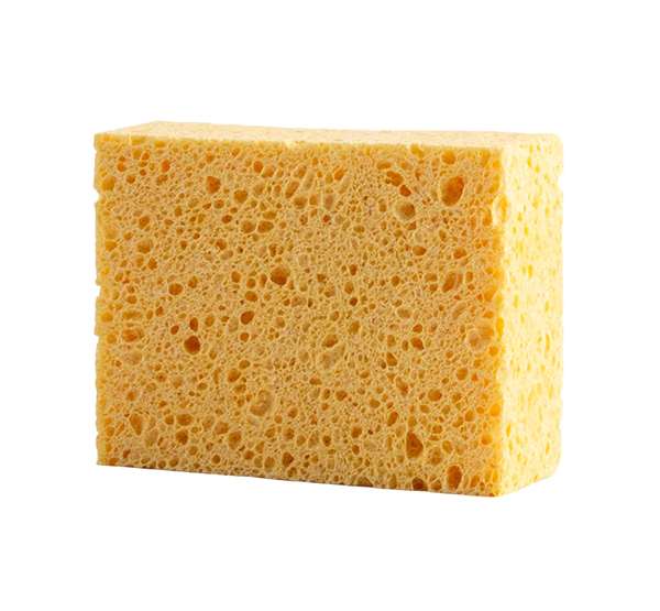 Image de EPONGE VEGETALE N°8 15X11X4CM