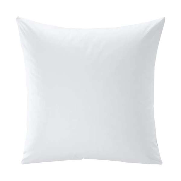 Image de OREILLER BLANC NON FEU 60x60 - 550G