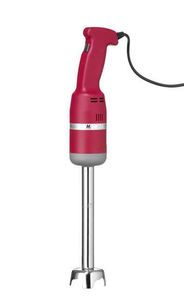 Image de MIXEUR PLONGEUR PROFI LINE 250