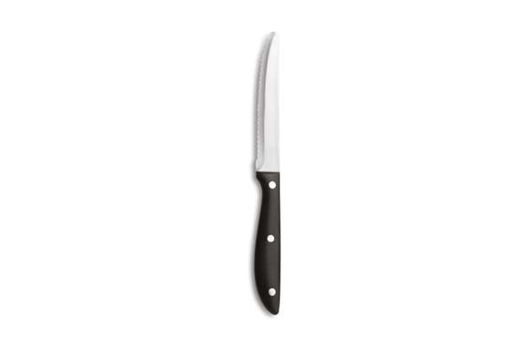 Image de COUTEAU A STEACK CLASSIC ECO