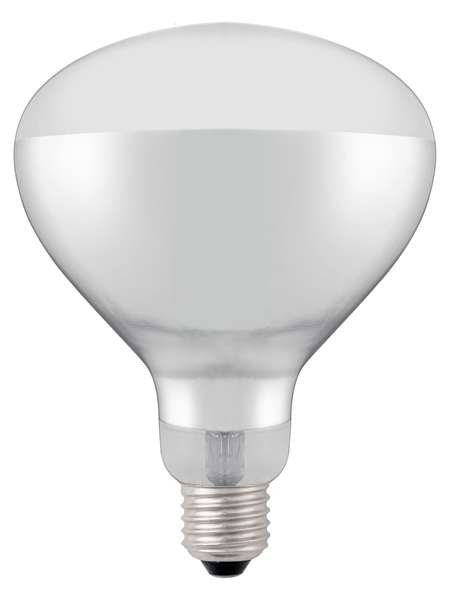 Image de AMPOULE Ø125XH.170MM CHAUFFANTE INFRAROUGE BLANC