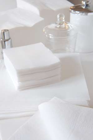 Image de SERVIETTE OUATE BLANCHE 2 PLIS 30X40 BULKYSOFT