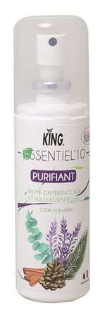 ESSENTIEL 10 ASSAINISSANT KING 100 CC