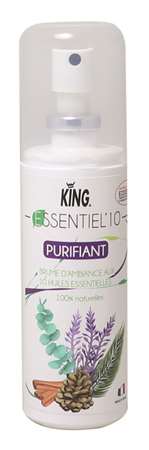 Image de ESSENTIEL 10 ASSAINISSANT KING 100 CC